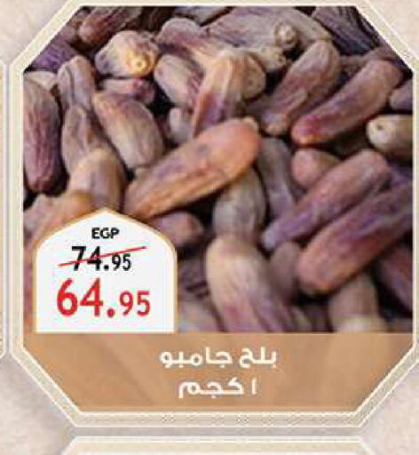 available at Al Rayah Market   in Egypt - Cairo
