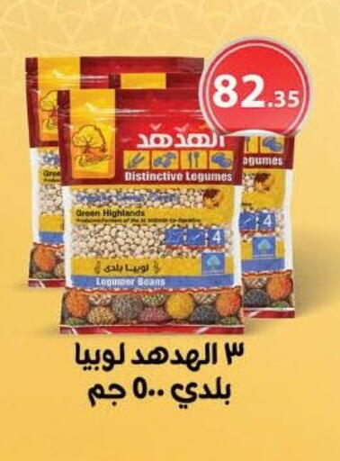 available at محمود الفار in Egypt - القاهرة