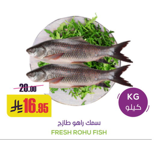 available at Sapt in KSA, Saudi Arabia, Saudi - Buraidah