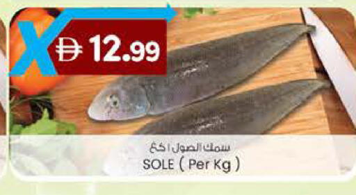 available at K M Trading  in UAE - Abu Dhabi