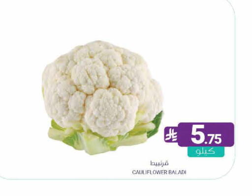 Cauliflower available at اسواق المنتزه in مملكة العربية السعودية, السعودية, سعودية - القطيف‎