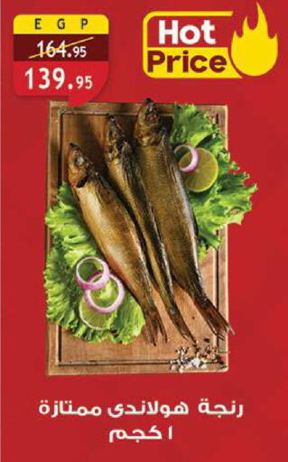 available at الرايه  ماركت in Egypt - القاهرة