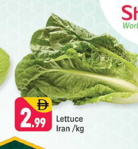 Lettuce from Iran available at شكلان ماركت in الإمارات العربية المتحدة , الامارات - دبي