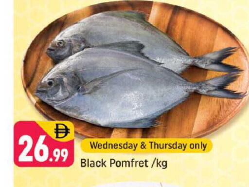 available at شكلان ماركت in الإمارات العربية المتحدة , الامارات - دبي