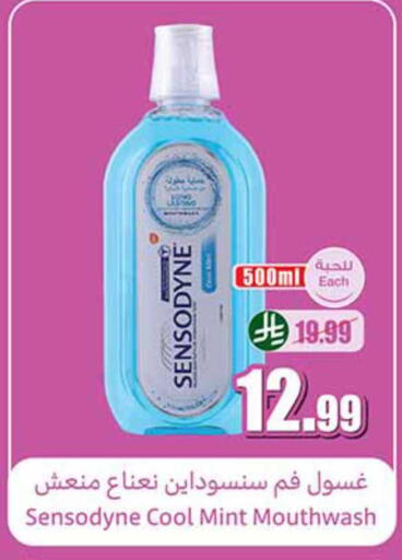 Mint available at Othaim Markets in KSA, Saudi Arabia, Saudi - Jazan