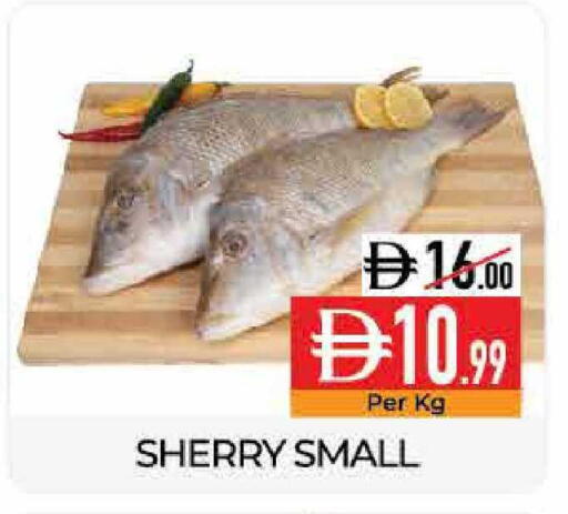 available at Delice Supermarket in UAE - Abu Dhabi