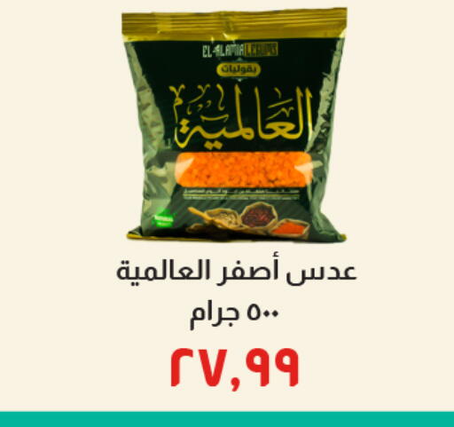 available at Kheir Zaman  in Egypt - Cairo
