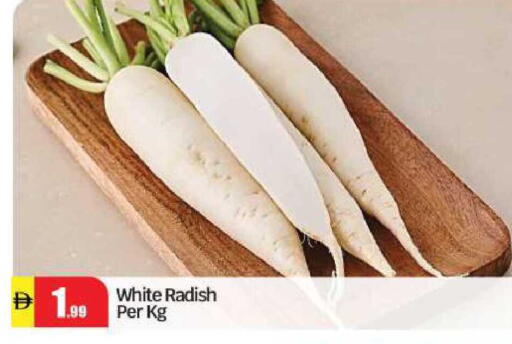 Radish available at بيج مارت in الإمارات العربية المتحدة , الامارات - أبو ظبي
