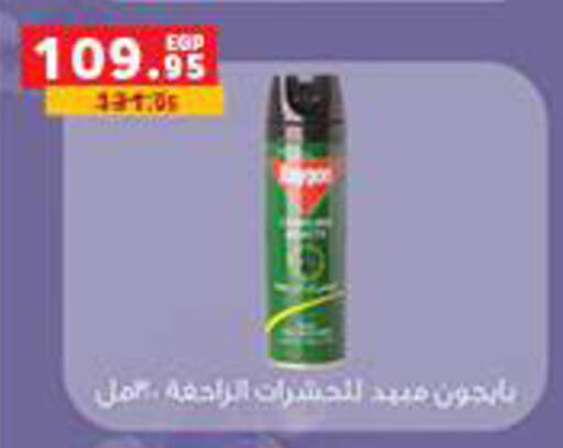 available at Panda  in Egypt - Cairo