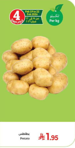 Potato available at Kabayan Hypermarket in KSA, Saudi Arabia, Saudi - Jeddah