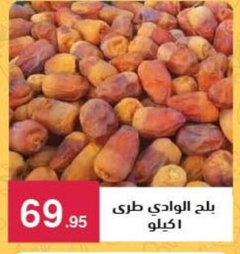 available at محمود الفار in Egypt - القاهرة