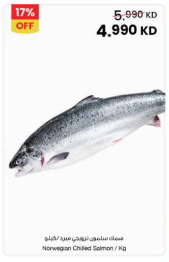 available at مركز سلطان in الكويت - محافظة الجهراء