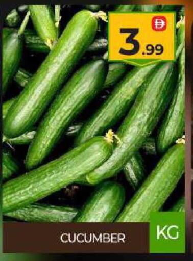 Cucumber available at بيج مارت in الإمارات العربية المتحدة , الامارات - دبي
