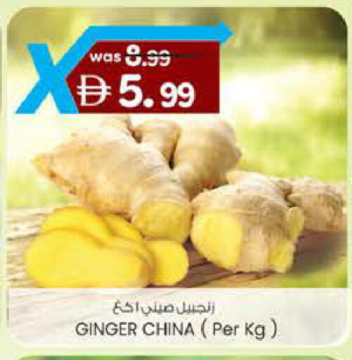 Ginger from China available at ك. الم. للتجارة in الإمارات العربية المتحدة , الامارات - ٱلْفُجَيْرَة‎