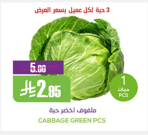 Cabbage available at سبت in مملكة العربية السعودية, السعودية, سعودية - بريدة