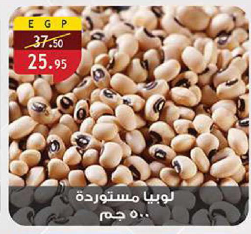 available at الرايه  ماركت in Egypt - القاهرة