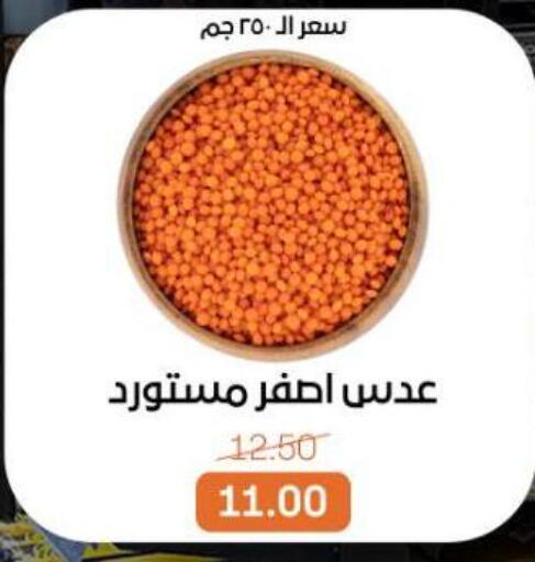 available at بيت الجملة in Egypt - القاهرة