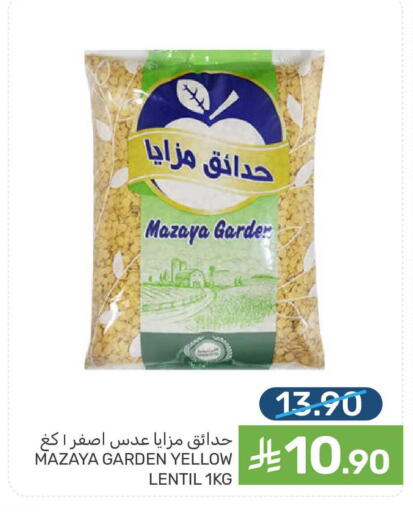 available at Mazaya in KSA, Saudi Arabia, Saudi - Saihat