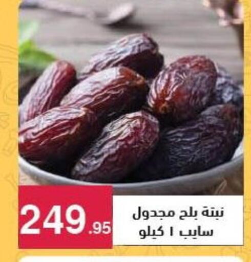 available at محمود الفار in Egypt - القاهرة