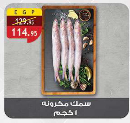 available at الرايه  ماركت in Egypt - القاهرة