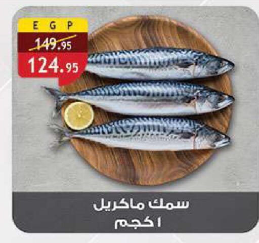 available at الرايه  ماركت in Egypt - القاهرة