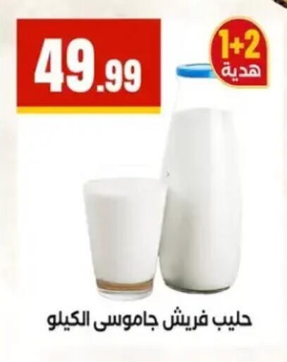 available at مارت فيل in Egypt - القاهرة