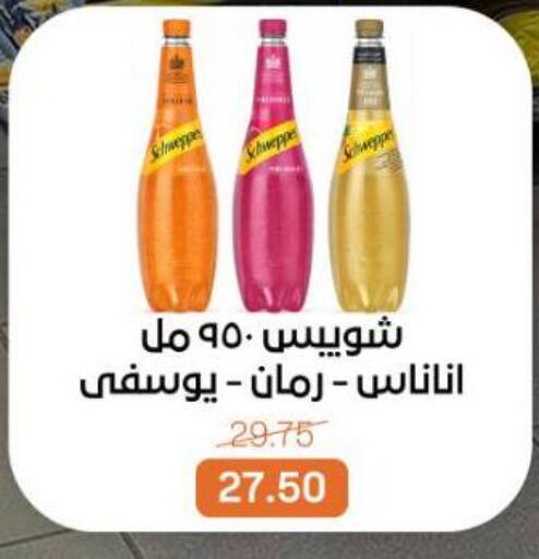 available at بيت الجملة in Egypt - القاهرة
