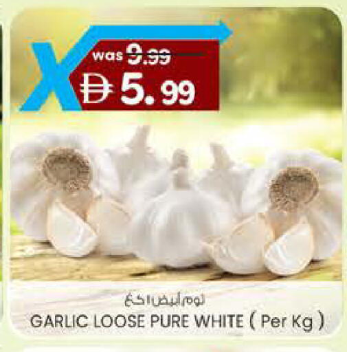 Garlic available at ك. الم. للتجارة in الإمارات العربية المتحدة , الامارات - ٱلْفُجَيْرَة‎