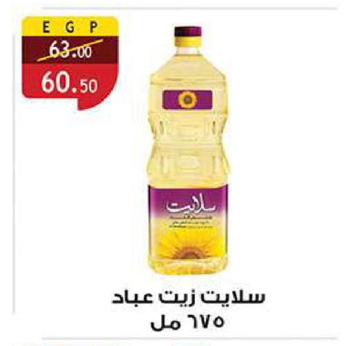 available at الرايه  ماركت in Egypt - القاهرة