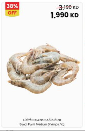 available at مركز سلطان in الكويت - محافظة الجهراء