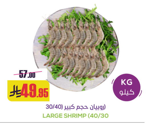 available at Sapt in KSA, Saudi Arabia, Saudi - Buraidah