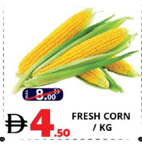 available at اكسبرس المدينة هايبرماركت in الإمارات العربية المتحدة , الامارات - أبو ظبي