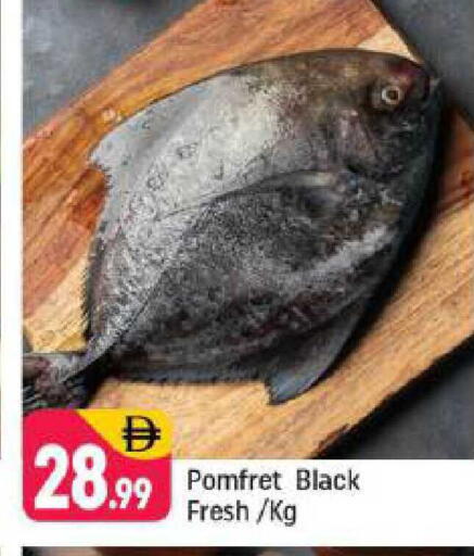 available at شكلان ماركت in الإمارات العربية المتحدة , الامارات - دبي