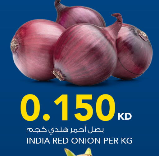 Onion from India available at  ALNASSER HYPERMARKET in Kuwait - Kuwait City