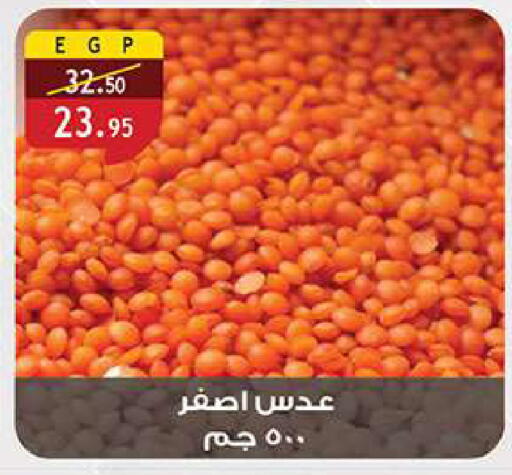 available at الرايه  ماركت in Egypt - القاهرة