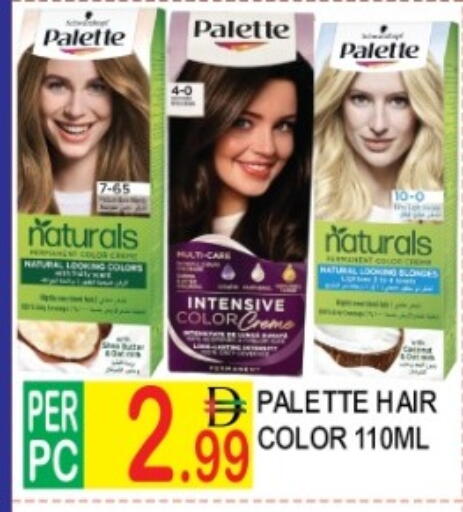 available at دريم لاند in الإمارات العربية المتحدة , الامارات - دبي