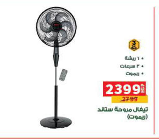 available at بنده in Egypt - القاهرة