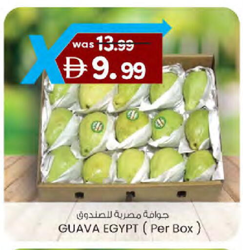 Guava from Egypt available at ك. الم. للتجارة in الإمارات العربية المتحدة , الامارات - دبي