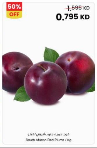 Plums from South Africa available at مركز سلطان in الكويت - محافظة الجهراء