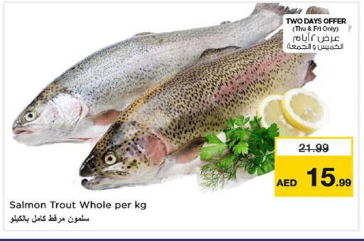 available at نستو هايبرماركت in الإمارات العربية المتحدة , الامارات - الشارقة / عجمان