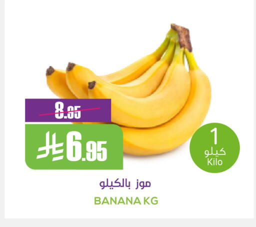 Banana available at سبت in مملكة العربية السعودية, السعودية, سعودية - بريدة