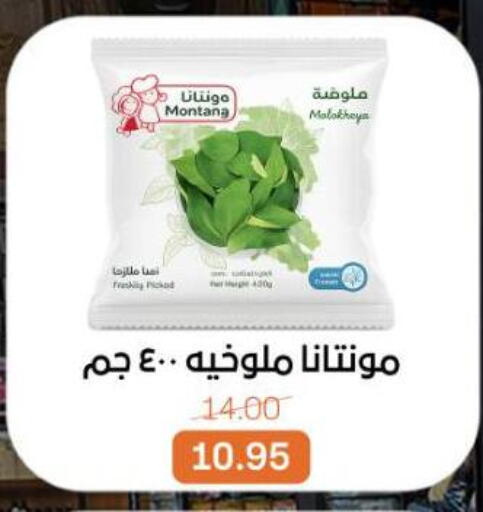 available at Beit El Gomla in Egypt - Cairo