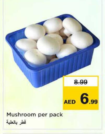 Mushroom available at نستو هايبرماركت in الإمارات العربية المتحدة , الامارات - دبي