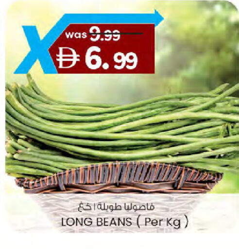 available at ك. الم. للتجارة in الإمارات العربية المتحدة , الامارات - دبي