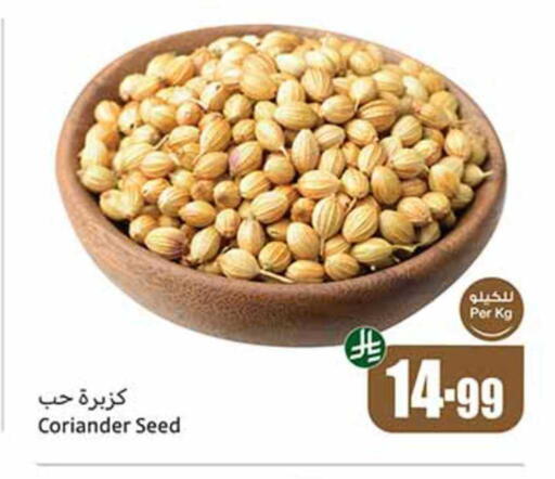 Coriander available at أسواق عبد الله العثيم in مملكة العربية السعودية, السعودية, سعودية - رفحاء