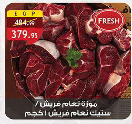 available at الرايه  ماركت in Egypt - القاهرة