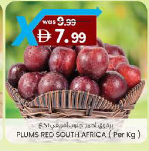 Plums from South Africa available at ك. الم. للتجارة in الإمارات العربية المتحدة , الامارات - ٱلْفُجَيْرَة‎