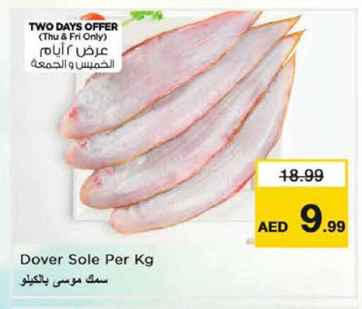 available at نستو هايبرماركت in الإمارات العربية المتحدة , الامارات - دبي