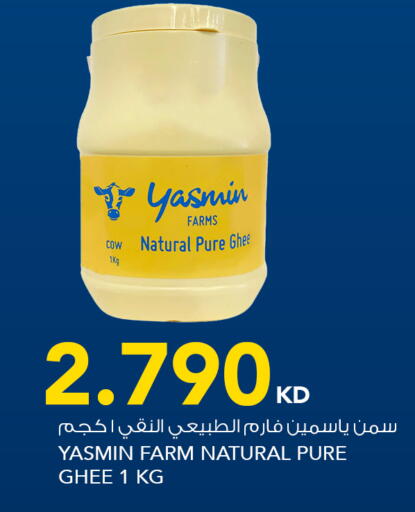 available at  ALNASSER HYPERMARKET in Kuwait - Ahmadi Governorate