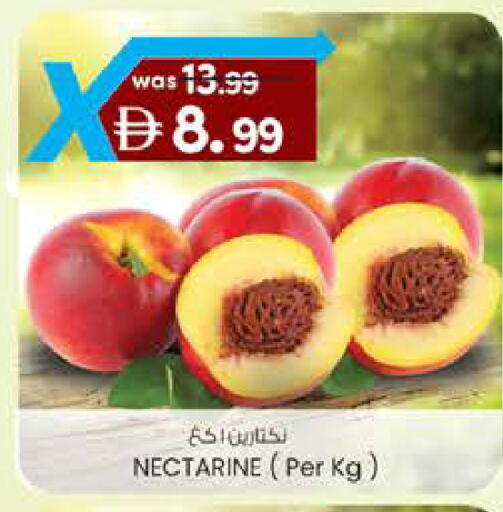Nectarine available at ك. الم. للتجارة in الإمارات العربية المتحدة , الامارات - ٱلْفُجَيْرَة‎